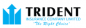 Trident Insurance Company logo
